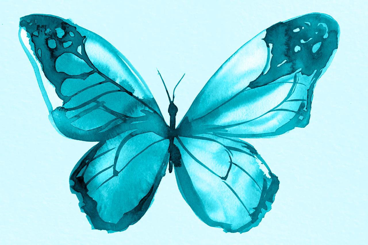 O que a borboleta pode nos ensinar sobre transformação de vida